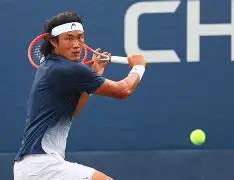 前中国男网一哥张之臻因伤退出温网连续退多站赛事将跌出前的简单介绍